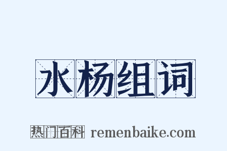 水杨组词是什么意思的图片